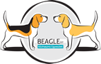 beagle-fajtamentes.hu